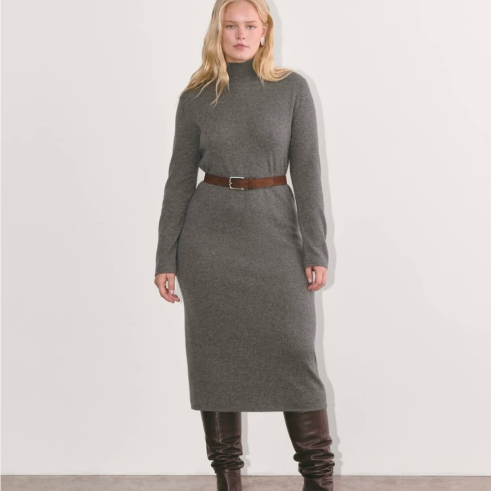 Everlane The Turtleneck Sweater Dress in Cashmere